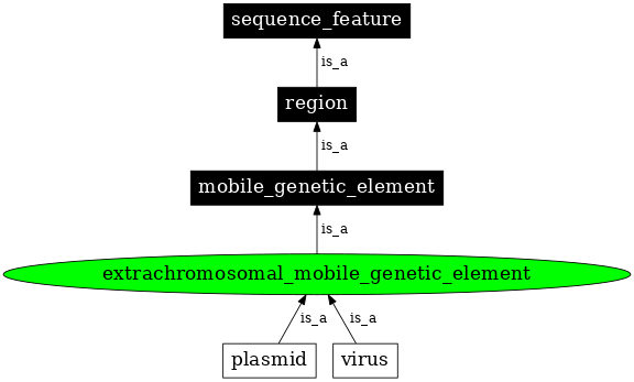 Graph image for SO:0001038