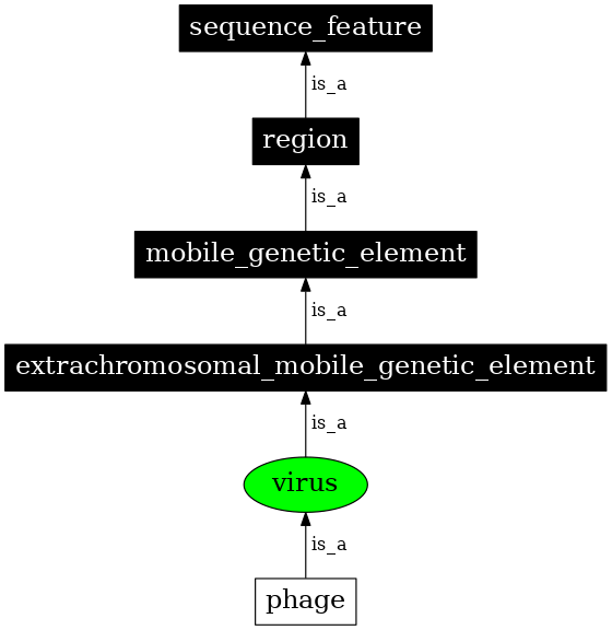Graph image for SO:0001041