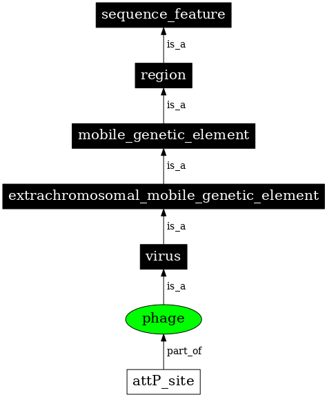 Graph image for SO:0001042