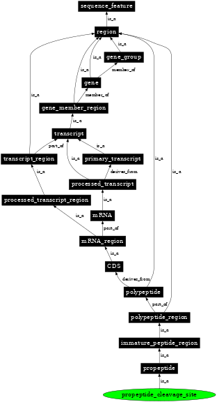 Graph image for SO:0001061