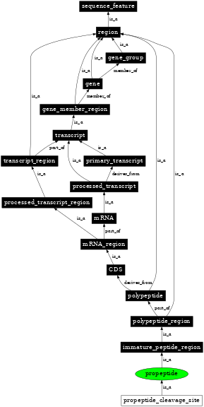 Graph image for SO:0001062