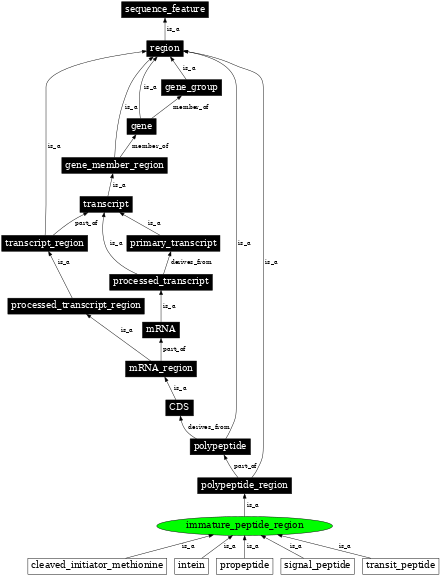 Graph image for SO:0001063