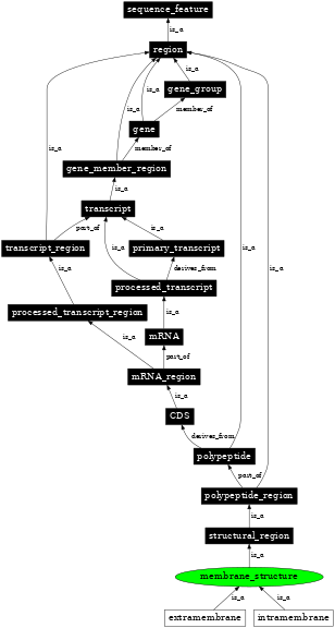 Graph image for SO:0001071