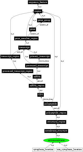 Graph image for SO:0001072