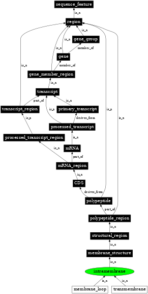Graph image for SO:0001075