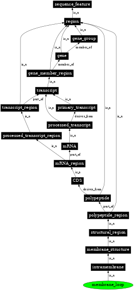 Graph image for SO:0001076
