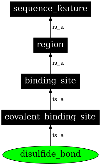 Graph image for SO:0001088