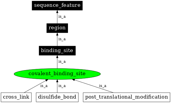 Graph image for SO:0001090
