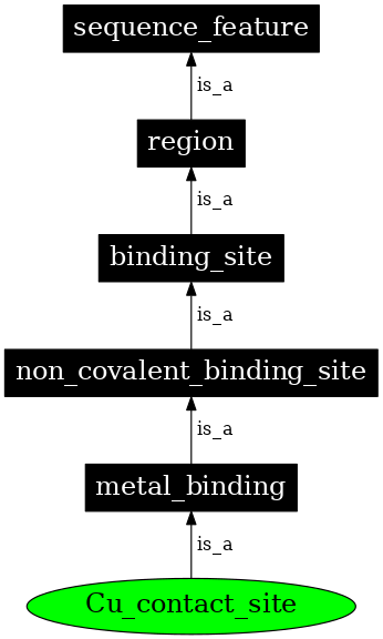 Graph image for SO:0001096