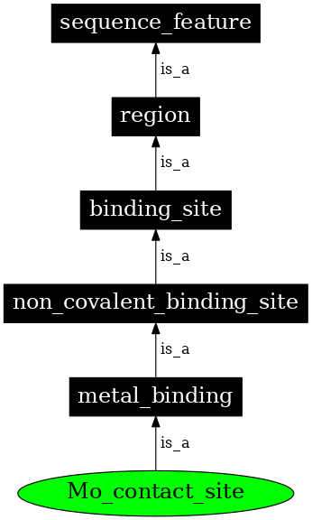 Graph image for SO:0001100
