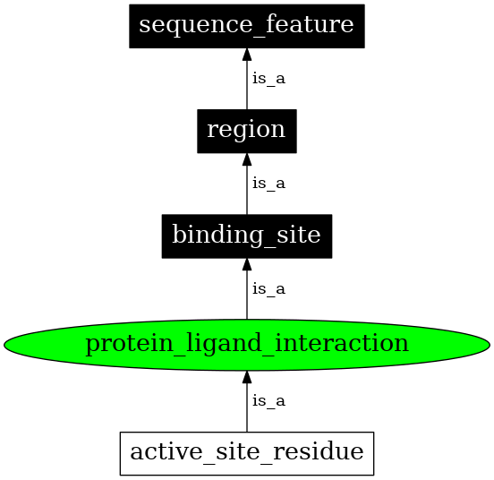 Graph image for SO:0001105