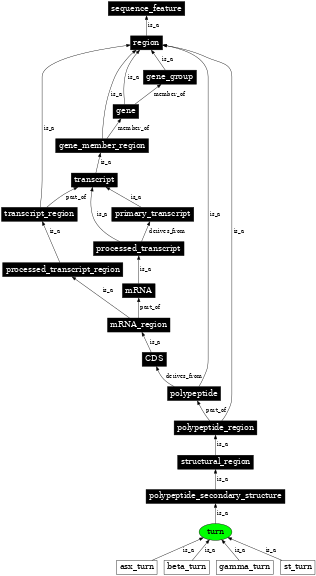 Graph image for SO:0001128