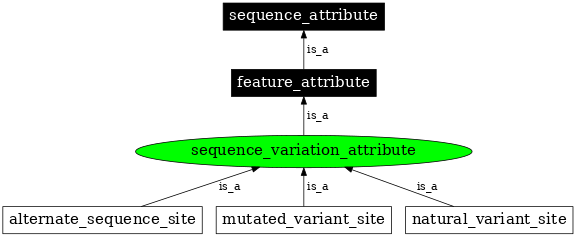 Graph image for SO:0001146