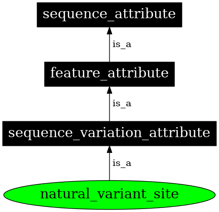 Graph image for SO:0001147