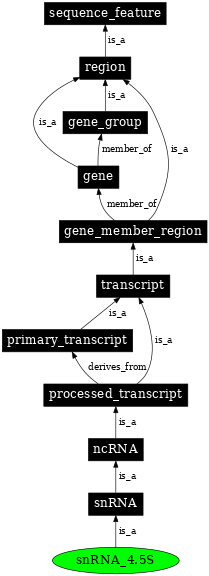 Graph image for SO:0005839