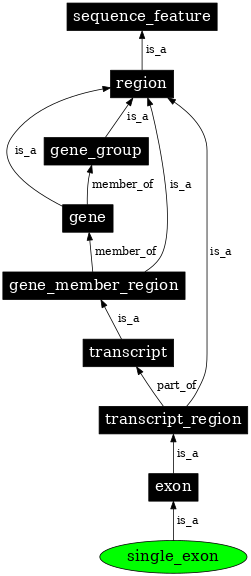 Graph image for SO:0005845