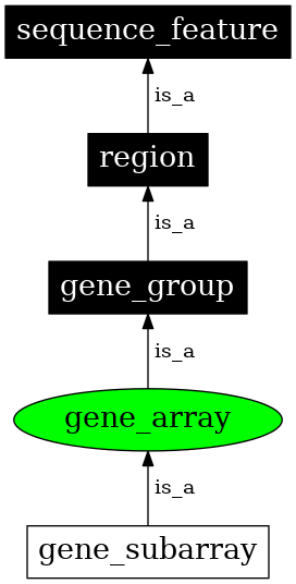 Graph image for SO:0005851
