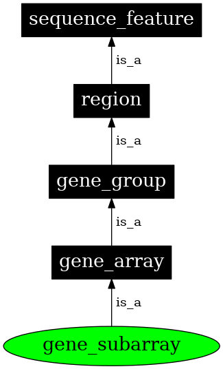 Graph image for SO:0005852