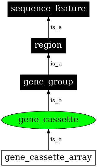 Graph image for SO:0005853