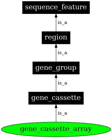 Graph image for SO:0005854