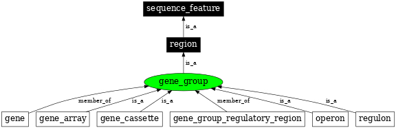 Graph image for SO:0005855