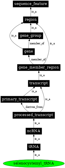 Graph image for SO:0005857