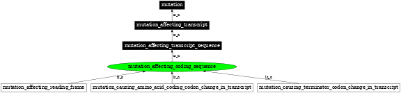 Graph image for SO:1000054