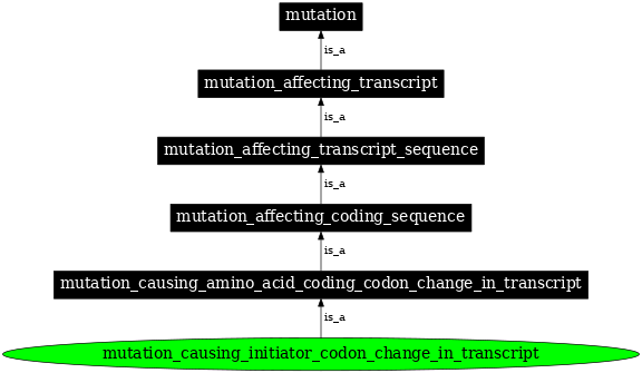 Graph image for SO:1000055