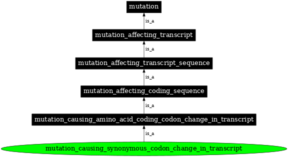Graph image for SO:1000057