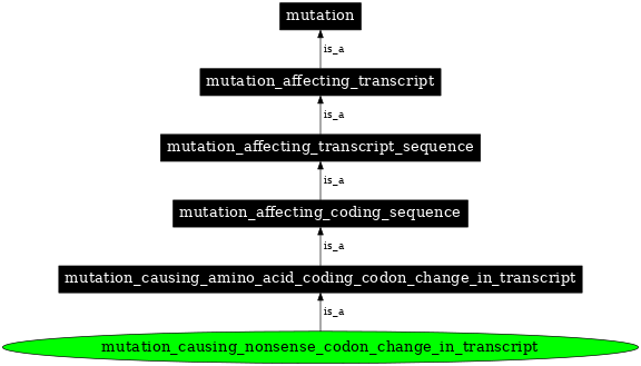 Graph image for SO:1000062