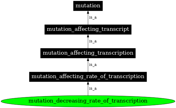 Graph image for SO:1000078