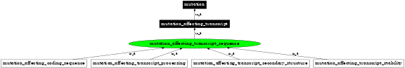 Graph image for SO:1000079