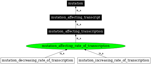 Graph image for SO:1000081