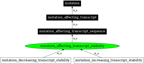 Graph image for SO:1000082