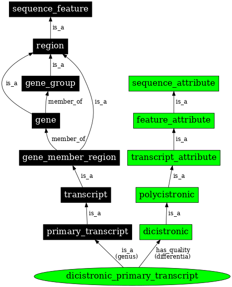 Graph image for SO:1001197