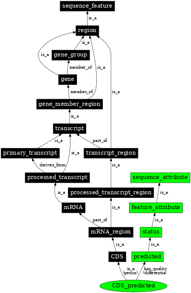 Graph image for SO:1001254