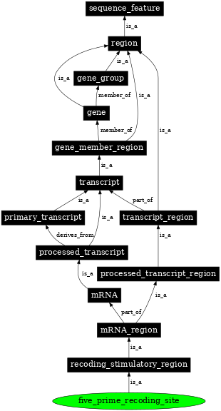 Graph image for SO:1001280