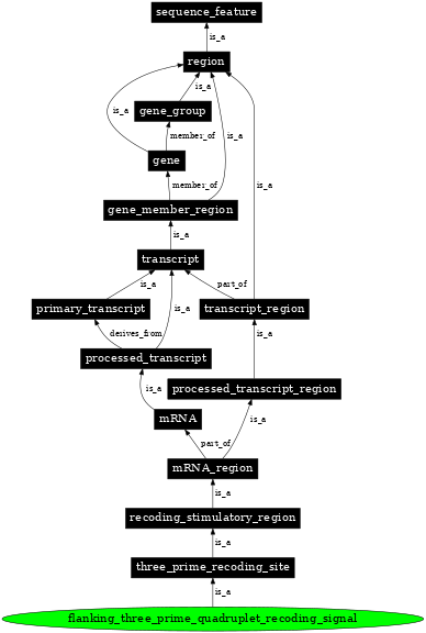 Graph image for SO:1001281