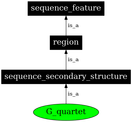 Graph image for SO:0000003