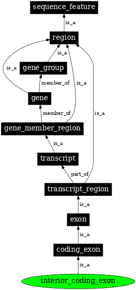 Graph image for SO:0000004