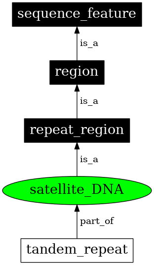 Graph image for SO:0000005
