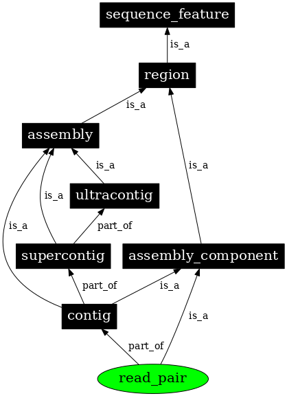 Graph image for SO:0000007