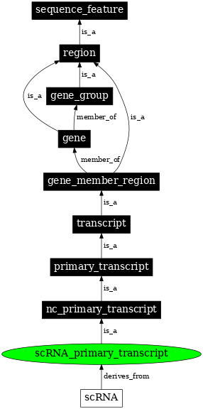 Graph image for SO:0000012