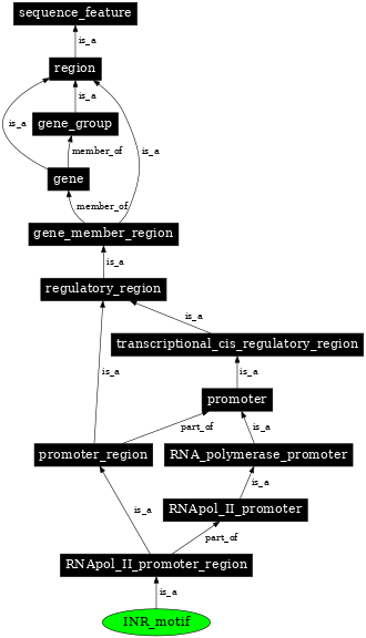 Graph image for SO:0000014