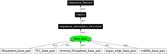 Graph image for SO:0000028