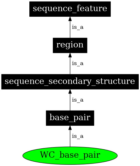 Graph image for SO:0000029