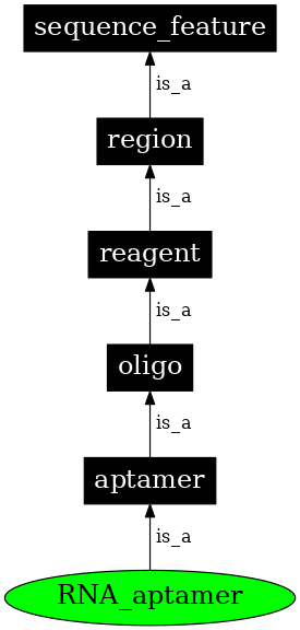 Graph image for SO:0000033