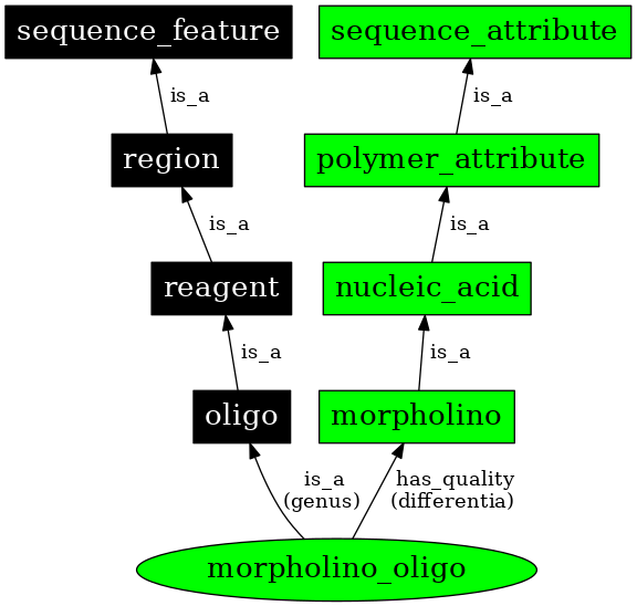Graph image for SO:0000034
