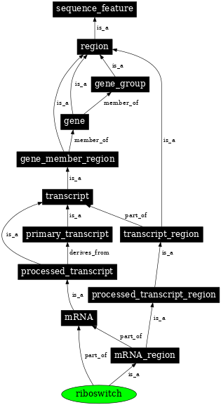 Graph image for SO:0000035