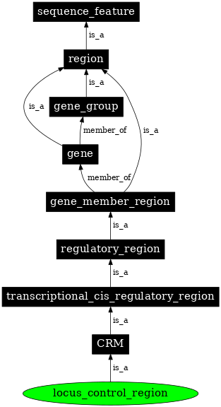 Graph image for SO:0000037